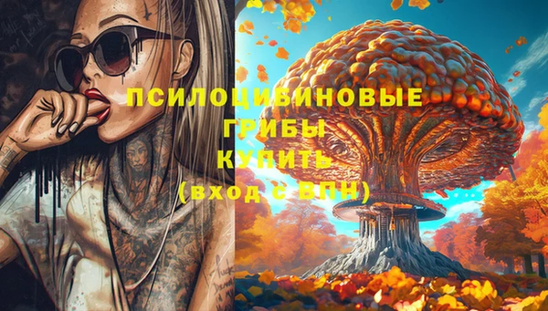 ECSTASY Алексеевка