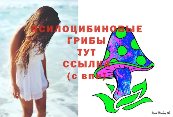 ECSTASY Алексеевка
