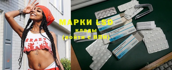 PSILOCYBIN Болхов